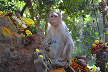 Monkey Mother and Sacred Anthill - Mère Singe et fourmilière sacrée