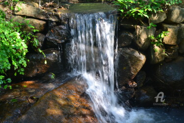 Secret Waterfall – la cascade secrète IV
